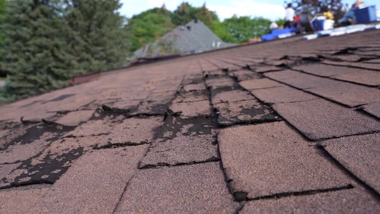 Best Gutter Installation and Repair  in Akron, IN