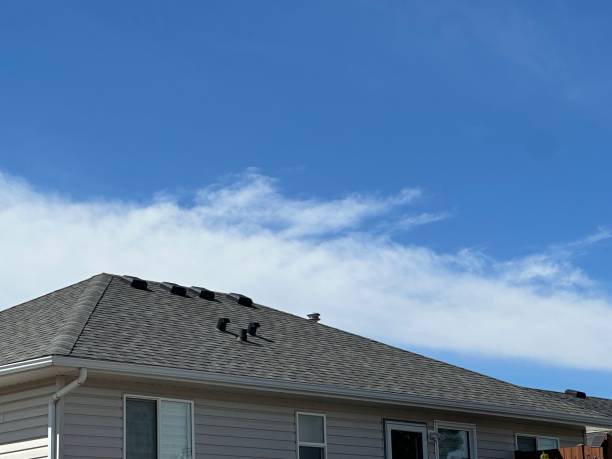 Best Solar Panel Roofing Installation  in Akron, IN